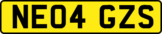 NE04GZS