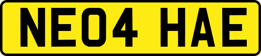 NE04HAE