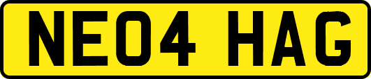 NE04HAG
