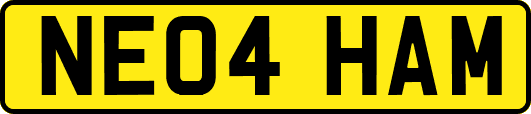 NE04HAM