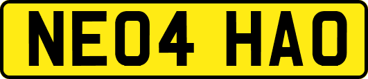 NE04HAO