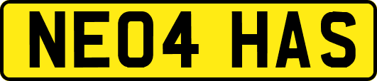 NE04HAS