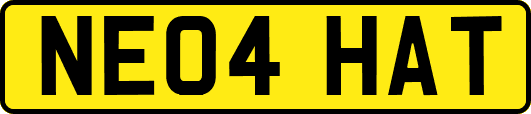NE04HAT