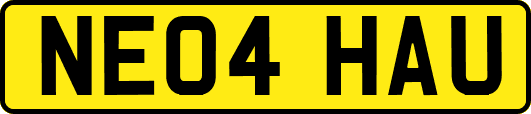 NE04HAU
