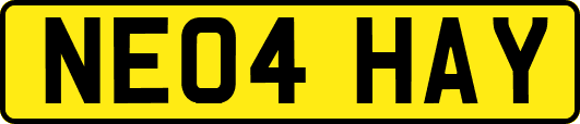 NE04HAY