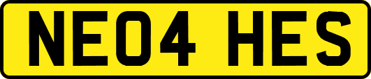 NE04HES