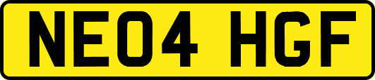 NE04HGF