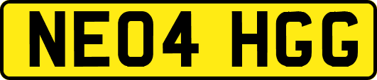 NE04HGG