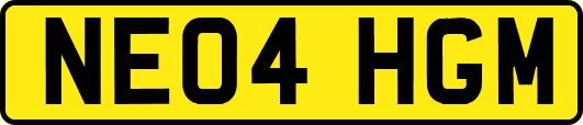 NE04HGM