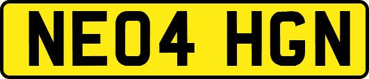 NE04HGN