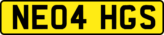 NE04HGS