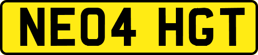 NE04HGT