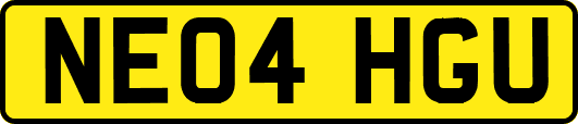 NE04HGU