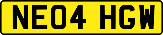 NE04HGW