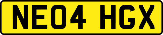 NE04HGX