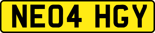 NE04HGY