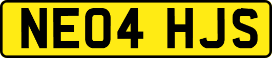 NE04HJS