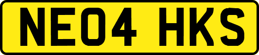 NE04HKS