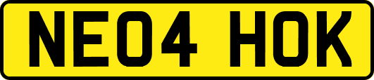 NE04HOK