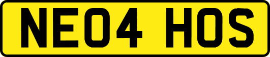 NE04HOS