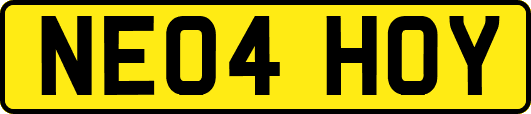 NE04HOY