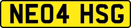 NE04HSG