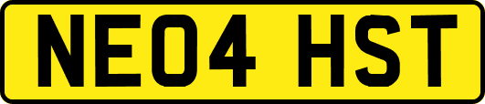 NE04HST