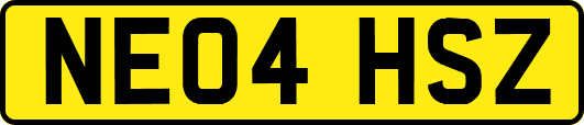 NE04HSZ