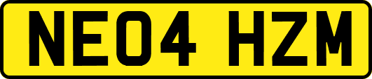 NE04HZM