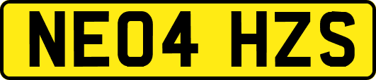 NE04HZS