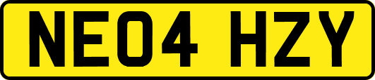NE04HZY