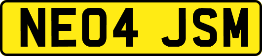 NE04JSM