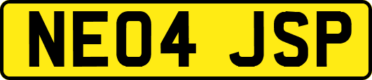 NE04JSP