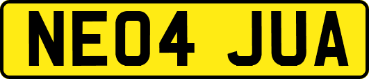 NE04JUA