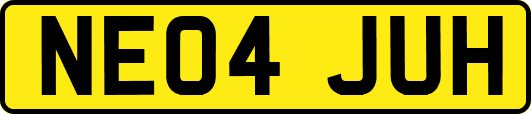 NE04JUH