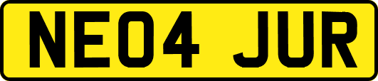 NE04JUR