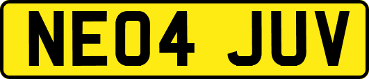 NE04JUV
