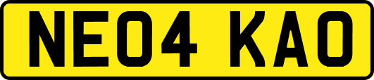 NE04KAO