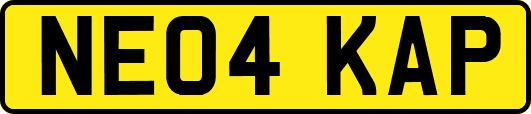NE04KAP
