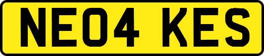 NE04KES