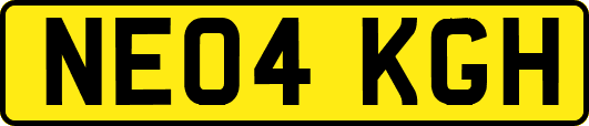 NE04KGH