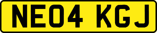 NE04KGJ