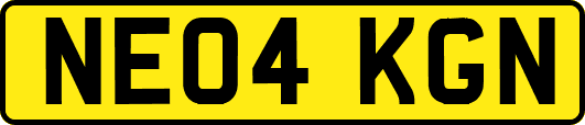 NE04KGN