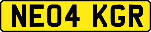 NE04KGR