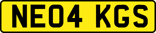 NE04KGS