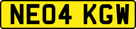 NE04KGW