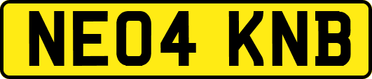 NE04KNB