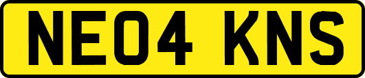 NE04KNS