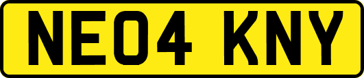 NE04KNY