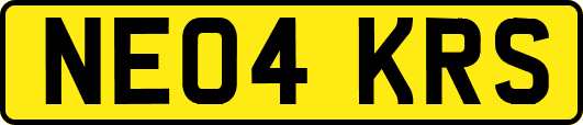 NE04KRS